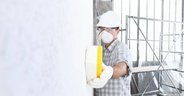 Mold Odor Removal Services in Chester Center, CT